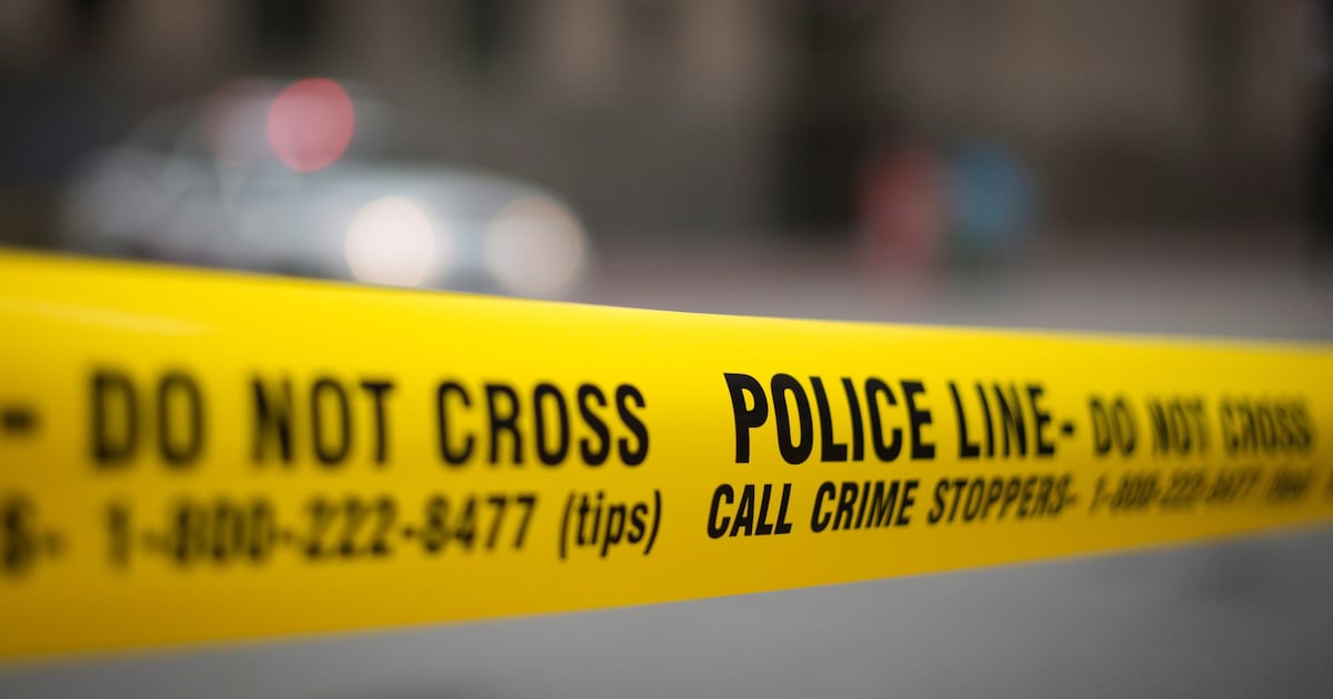 Shots fired in Scarborough, parked vehicles damaged at commercial property - CTV News