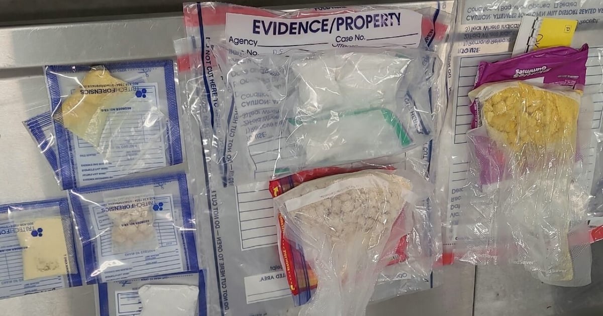 Assault investigation leads North Bay police to $100K drug bust - CTV News