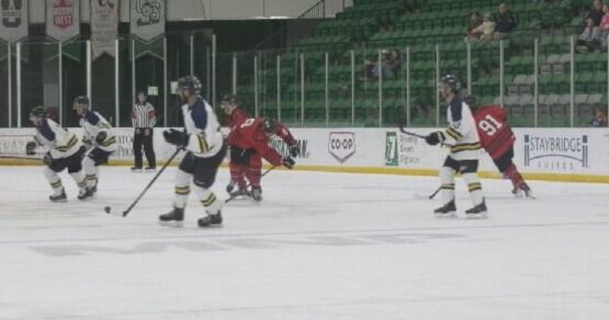 Saskatoon police, firefighters face off in charity hockey game