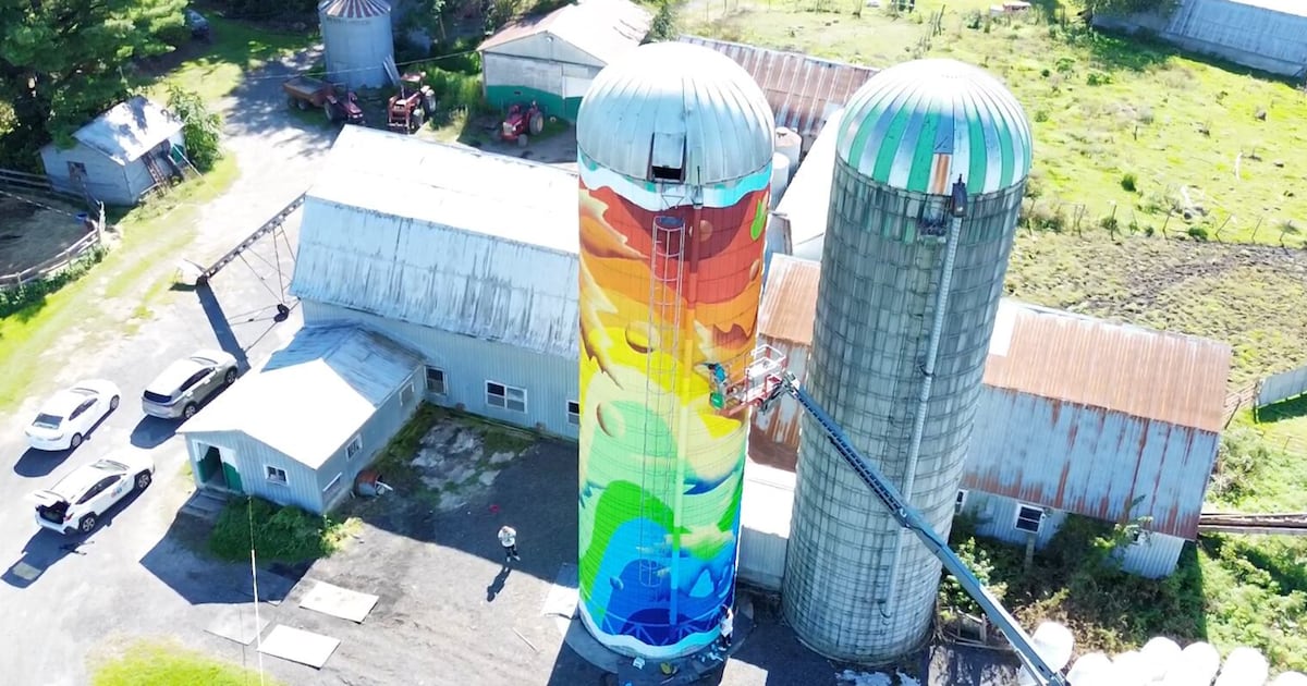Southwestern Quebec farms transformed with massive murals on silos - CTV News
