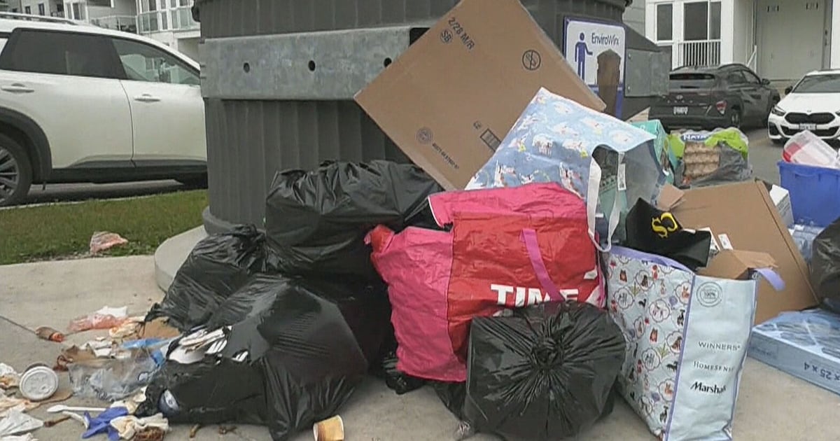 Edgevalley Road residents raise concerns over garbage - CTV News