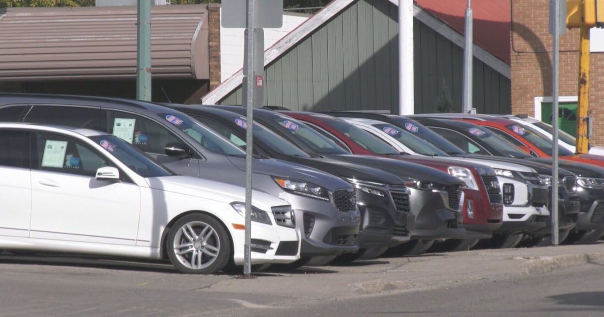 Regina police seek suspects in property damage - CTV News