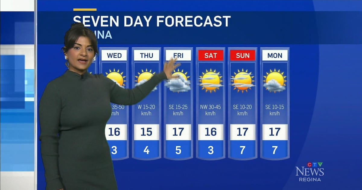 Strong winds under sunny skies - CTV News