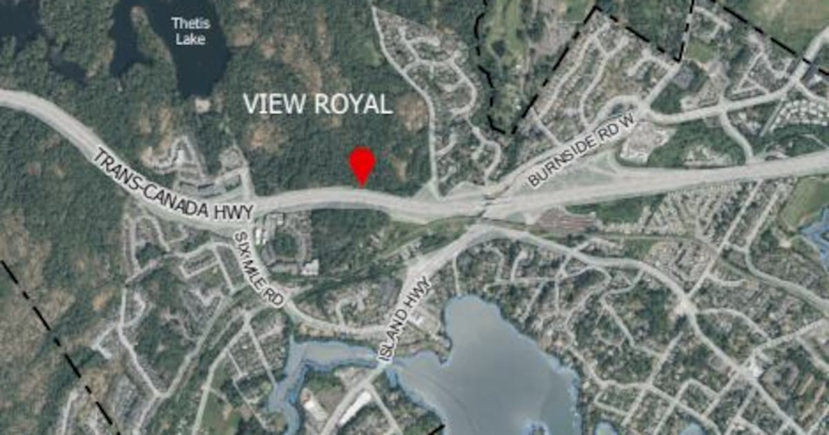 What happened to the water supply near Thetis Lake? - CTV News