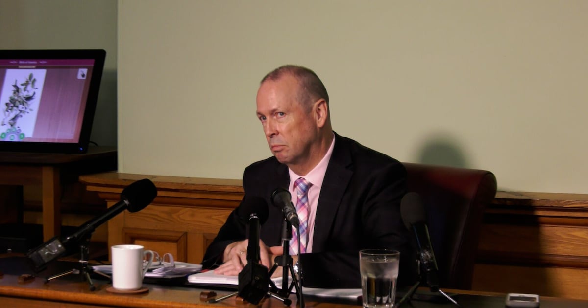 N.B. auditor general says data lacking on collaborative clinics - CTV News