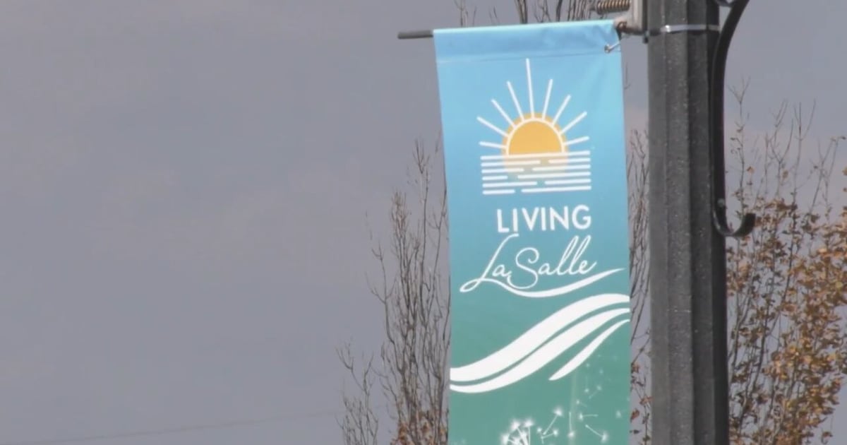 LaSalle candidates debate - CTV News