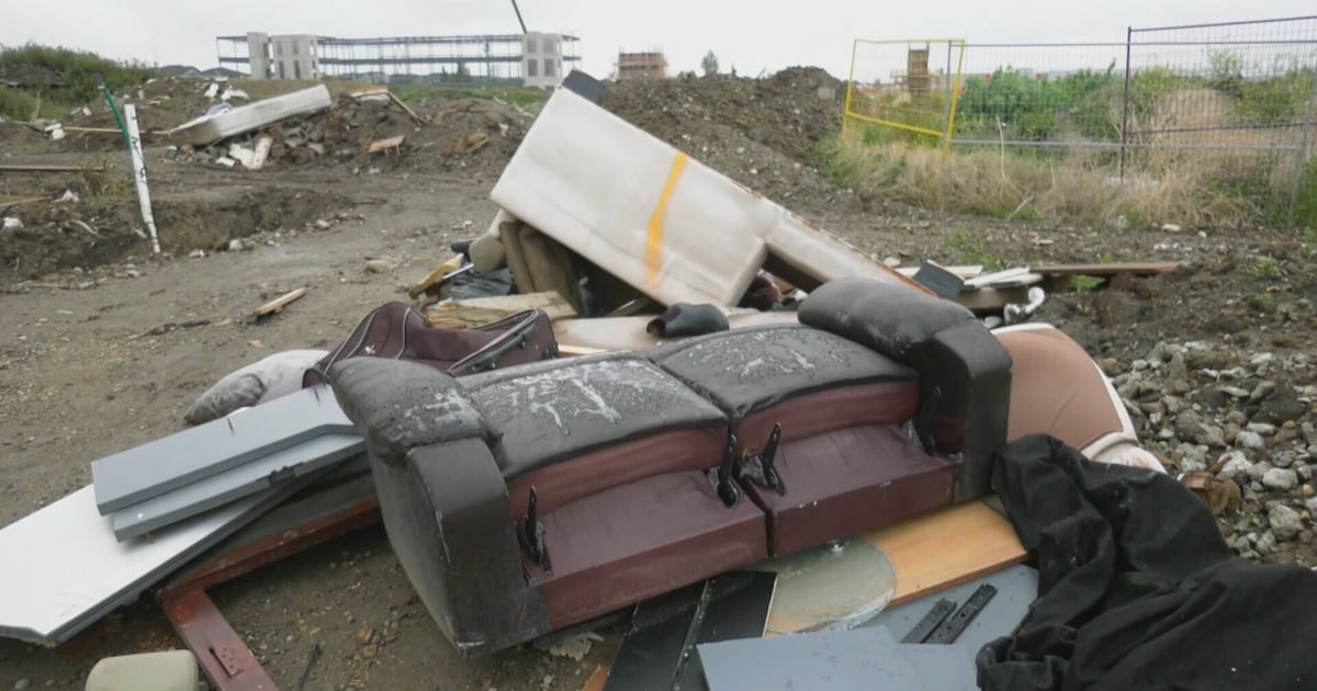 Government to crack down on illegal dumping - CTV News