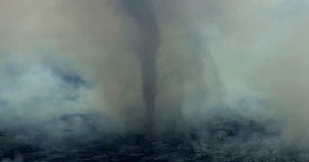 Rare firenado rips through controlled burn area in Orlando - CTV News