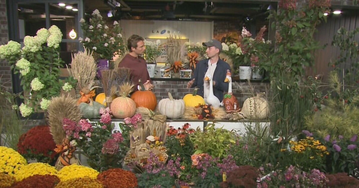 Good to Grow with Robert Plante Greenhouses - CTV News
