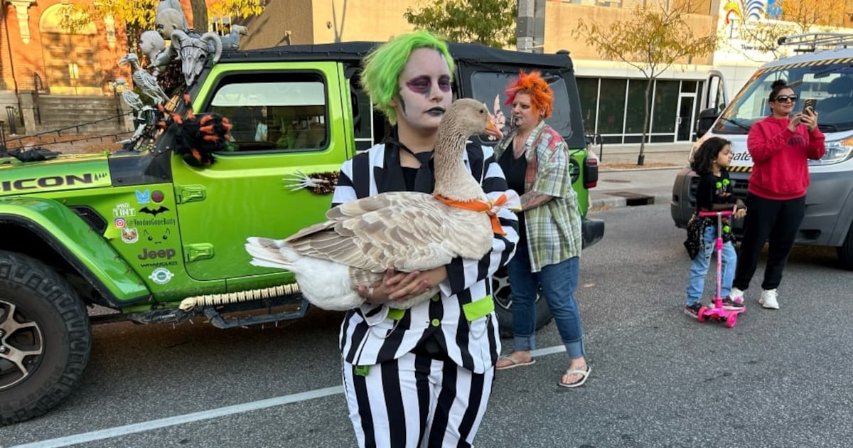 Zombie walk | What’s up YQG: August 7, 2026 - CTV News