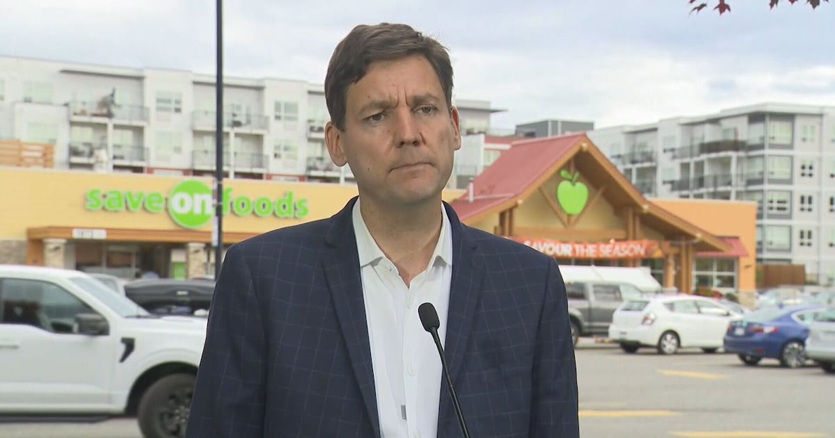 B.C. NDP pledge to lower grocery prices - CTV News