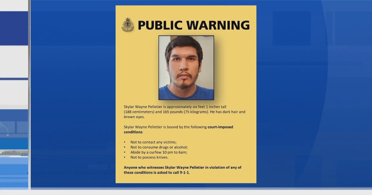 High-risk sex offender to live in Vancouver - CTV News