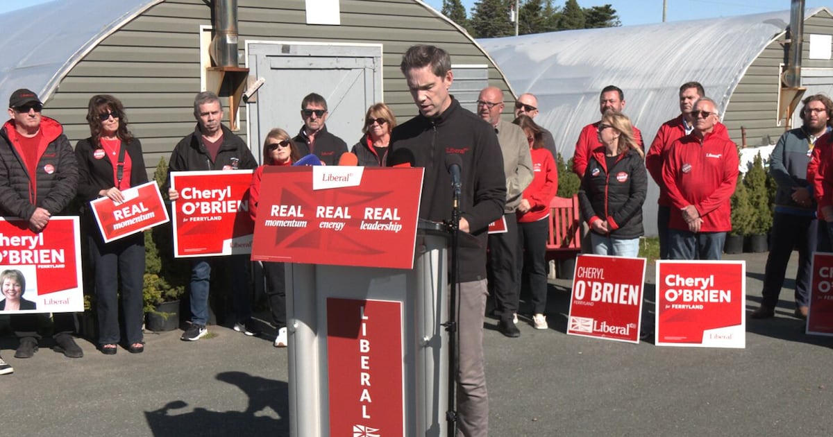 Ctv Fall CTV National News: N.L. fall election paved in promises, but few ...