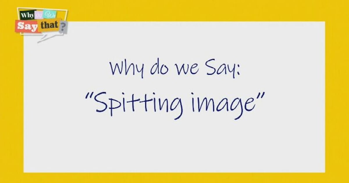 Spitting Image | Why Do We Say That? - CTV News