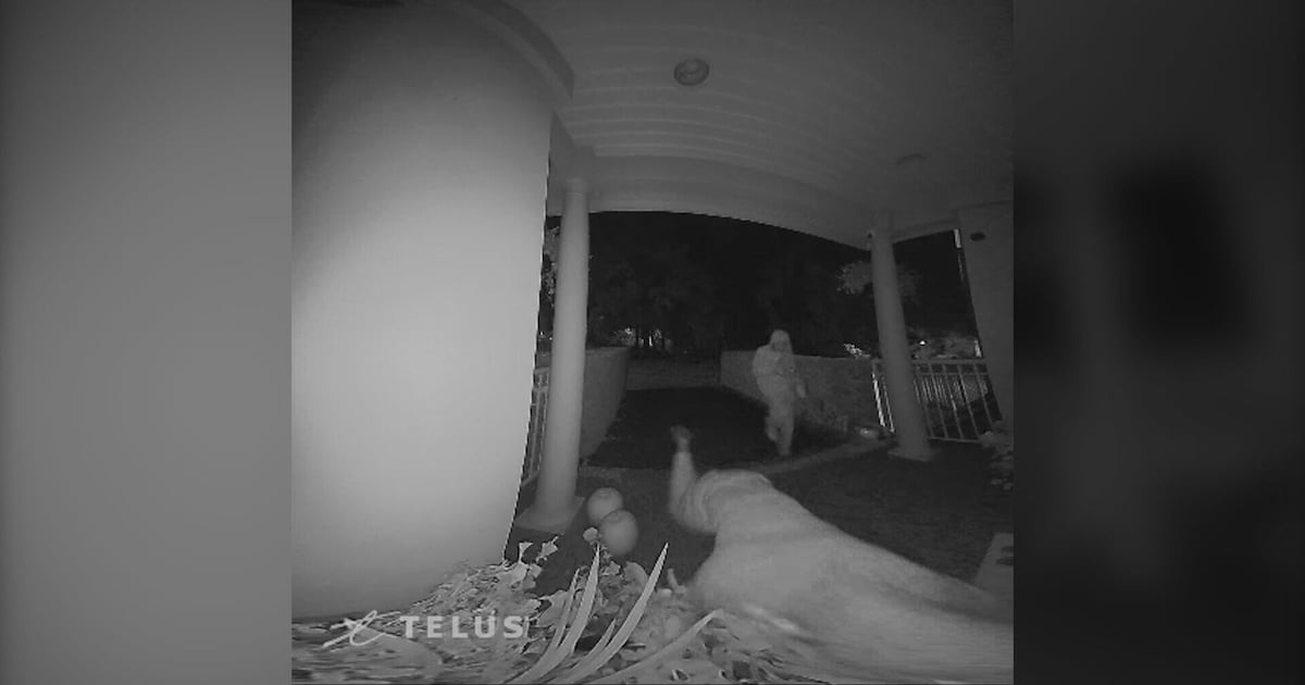 Prankster falls to the ground in Surrey - CTV News