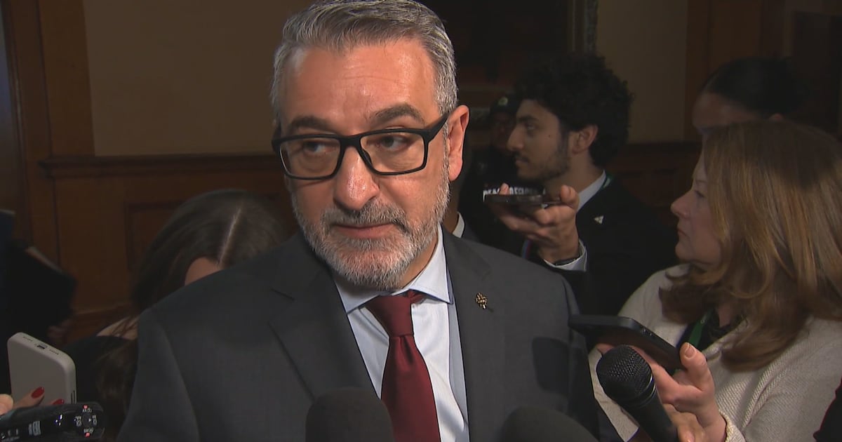 Addison Calandra Calandra on the need for Bill 33 and 'chaos' at Near North District ...