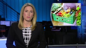 CTV National News for Saturday, October 10, 2026