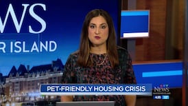 CTV News Vancouver Island at 4:30 for Thursday, Oct. 15, 2026