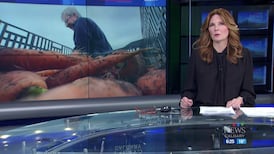 CTV News Calgary at Six for Tuesday, Sep. 29, 2026
