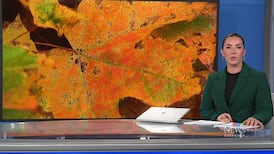 CTV News Kitchener at Six for Thursday, Oct. 1, 2026