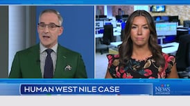 CTV News Kitchener at Six for Friday, Oct. 2, 2026