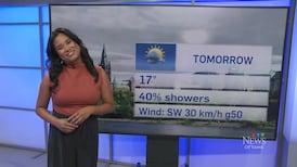 CTV News Ottawa at Six for Tuesday, Oct. 6, 2026