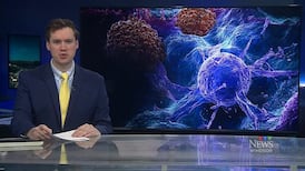 CTV News Windsor at Six for Monday, April 13, 2026