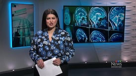 CTV News Edmonton at Six for Tuesday, April 14, 2026