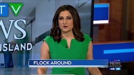 CTV News Vancouver Island at 4:30 for Friday, April 24, 2026