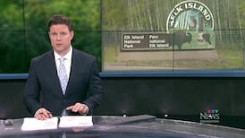 CTV News Edmonton at Six for Wednesday, April 29, 2026