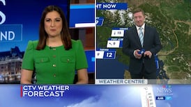 CTV News Vancouver Island at 4:30 for Tuesday, April 7, 2026