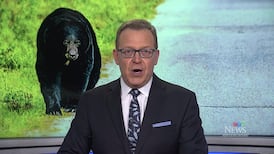 CTV News Northern Ontario at Six for Wednesday, April 8, 2026