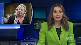 CTV News Windsor at Six for Wednesday, April 8, 2026