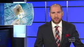 CTV News London at 11 for Wednesday, April 8, 2026