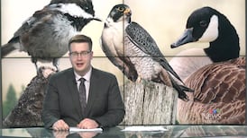 CTV News Regina at Six for Friday, May 8, 2026