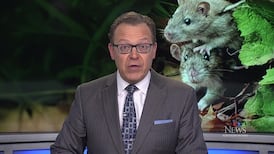 CTV News Northern Ontario at Six for Friday, May 8, 2026