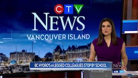 CTV News Vancouver Island at 4:30 for Friday, May 15, 2026