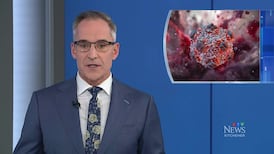 CTV News Kitchener at Six for Friday, May 15, 2026