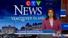 CTV News Vancouver Island at 4:30 for Thursday, April 30, 2026