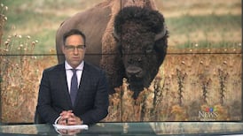CTV News Regina at Six for Tuesday, May 19, 2026
