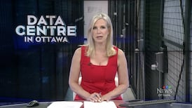 CTV News Ottawa at Six for Wednesday, May 20, 2026