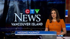 CTV News Vancouver Island at 4:30 for Monday, May 25, 2026