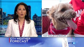 CTV News Vancouver at Six for Thursday, May 28, 2026