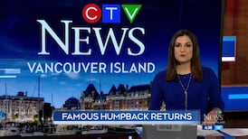 CTV News Vancouver Island at 4:30 for Wednesday, May 6, 2026