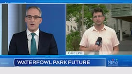 CTV News Kitchener at Six for Tuesday, June 9, 2026