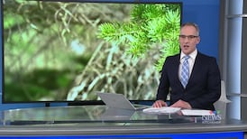 CTV News Kitchener at Six for Friday, June 5, 2026