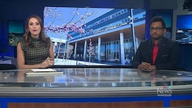 CTV News Windsor at Six for Monday, June 8, 2026