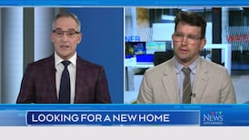 CTV News Kitchener at Six for Wednesday, June 10, 2026