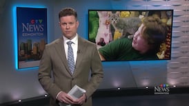 CTV News Edmonton at Six for Wednesday, June 10, 2026