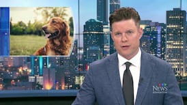CTV News Edmonton at Six for Monday, June 15, 2026